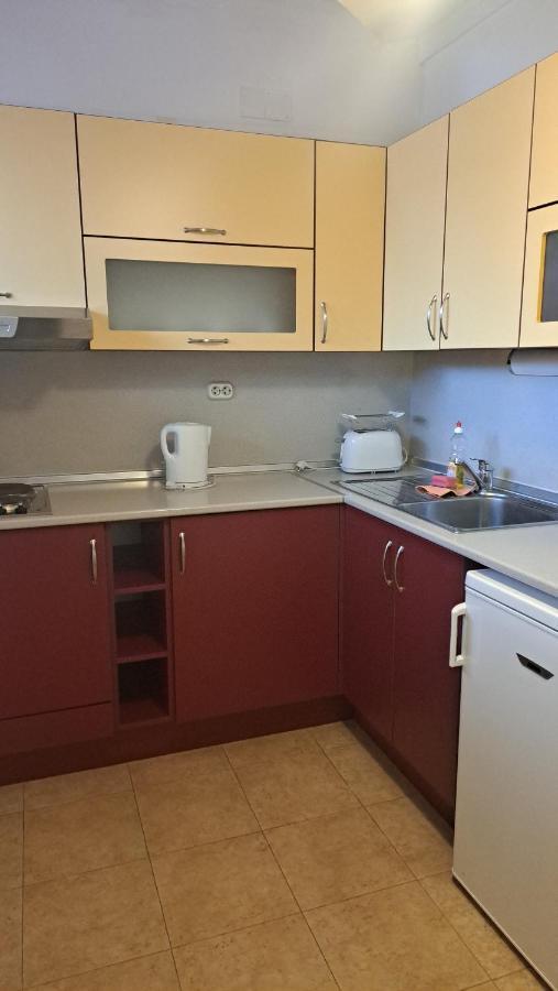 Todorini Kuli Apartments 班斯科 外观 照片