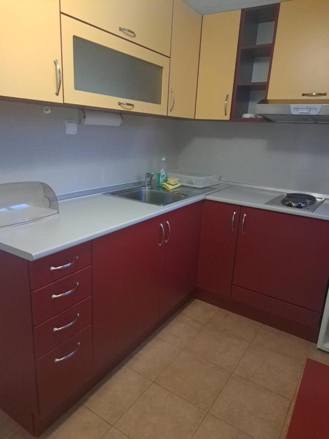 Todorini Kuli Apartments 班斯科 外观 照片