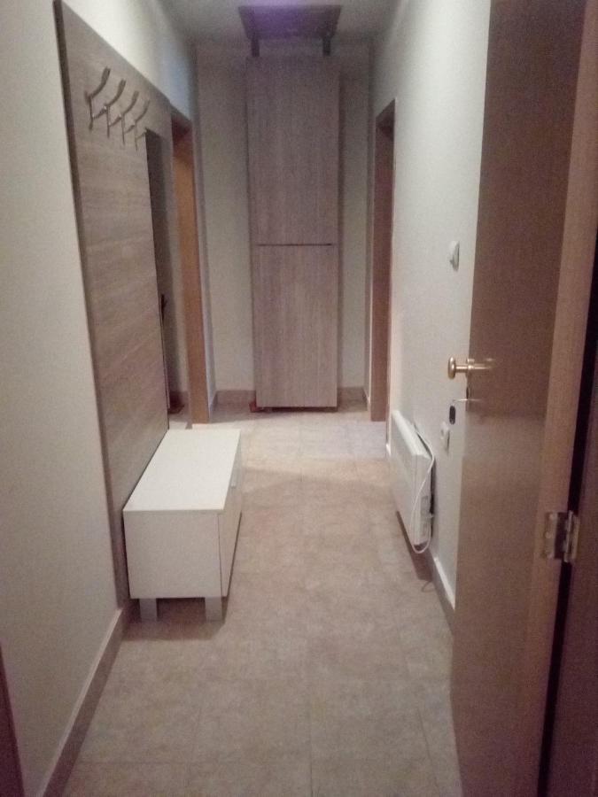 Todorini Kuli Apartments 班斯科 外观 照片